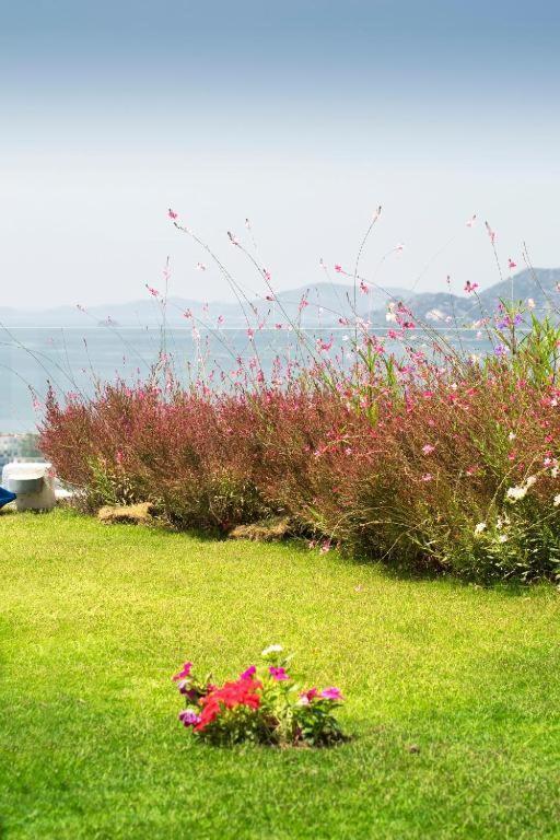 Bodrum Horizon Villas Extérieur photo